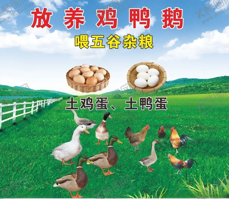 编号：59564102091807403663【酷图网】源文件下载-鸡鸭鹅灯箱