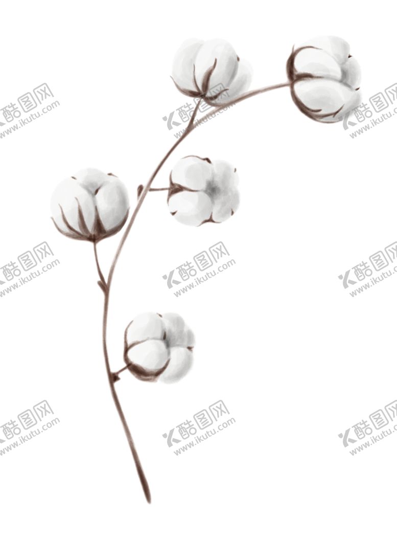 编号：97214910011359067854【酷图网】源文件下载-棉花壳