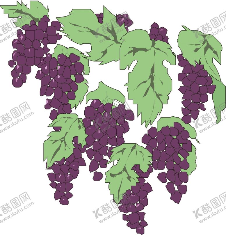 编号：17408811301920429620【酷图网】源文件下载-葡萄插画