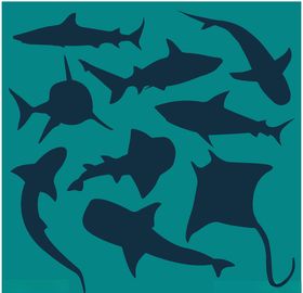 海洋生物剪影