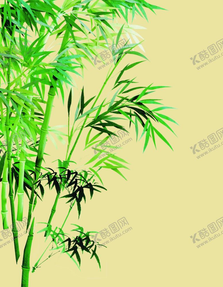 编号：89301210031954435237【酷图网】源文件下载-竹子