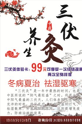 中医养生三伏灸