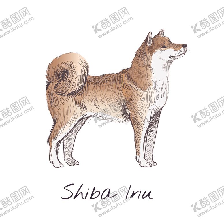 编号：79742310052254333935【酷图网】源文件下载-动物