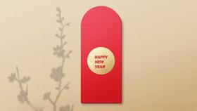 样机新年新年包装效果展示贴图