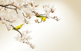 花鸟