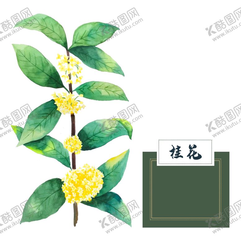 编号：45874301281054355290【酷图网】源文件下载-手绘桂花png免抠素材