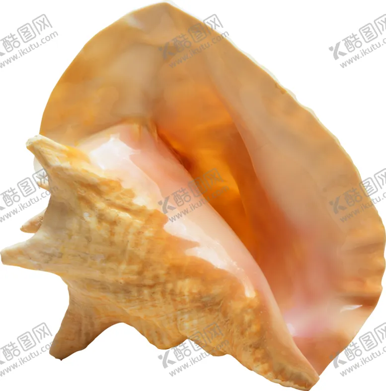 编号：50673704061836046358【酷图网】源文件下载-海螺