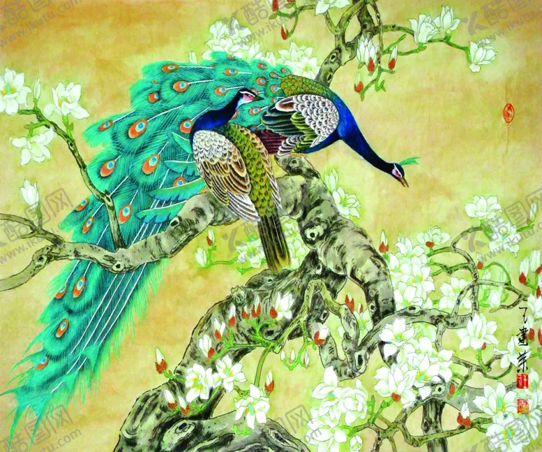 编号：89361807011721504488【酷图网】源文件下载-孔雀壁纸
