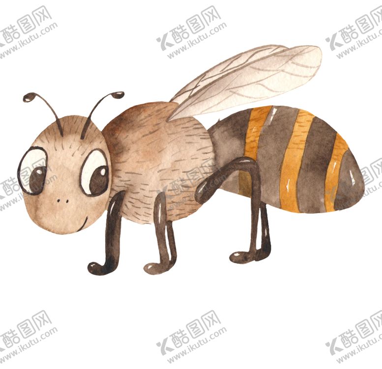 编号：28254607051541254196【酷图网】源文件下载-水彩昆虫小蜜蜂