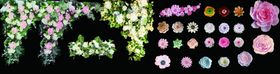 花绿植