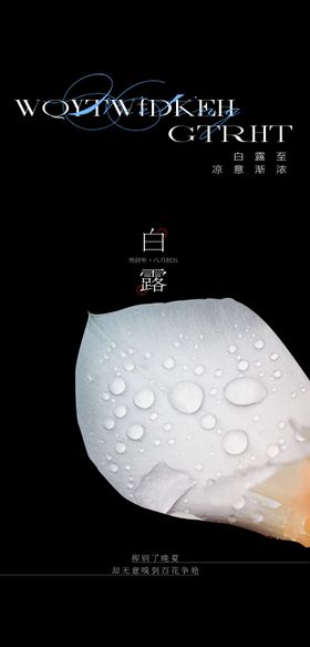 白露节气海报二十四花瓣简约