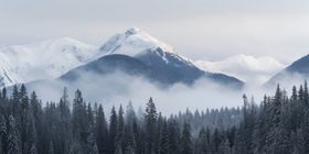 茫茫雪山