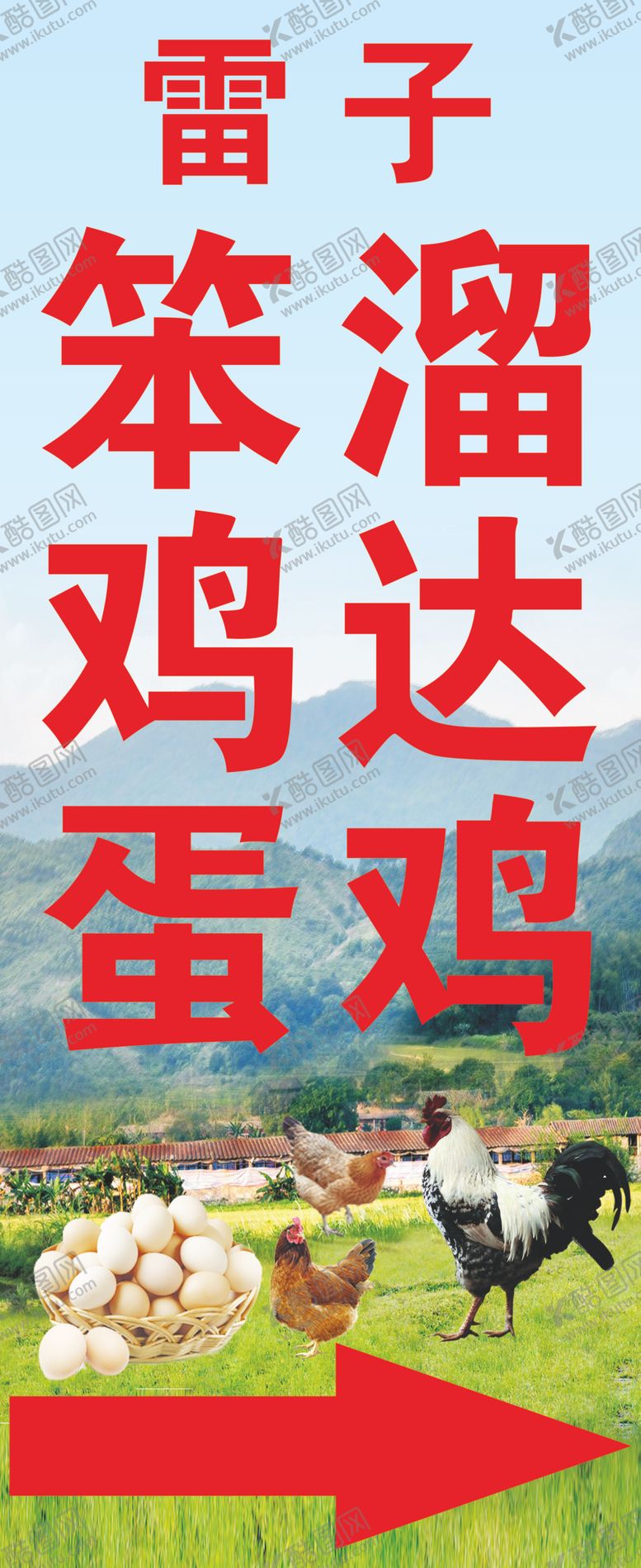 编号：79993501271106128326【酷图网】源文件下载-笨鸡蛋 溜达鸡