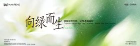 自然共生主视觉背景板