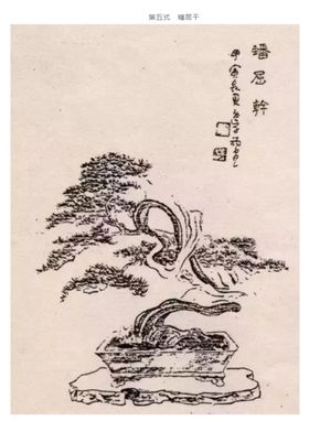 盆景造型五式