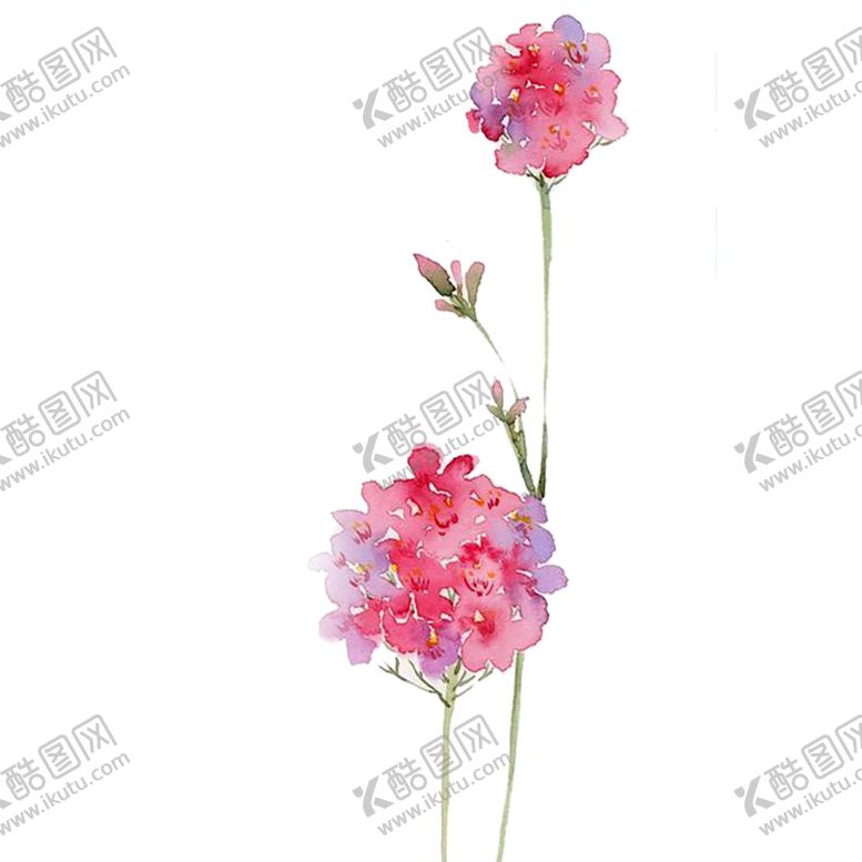 编号：80433610041139016217【酷图网】源文件下载-鲜花素材