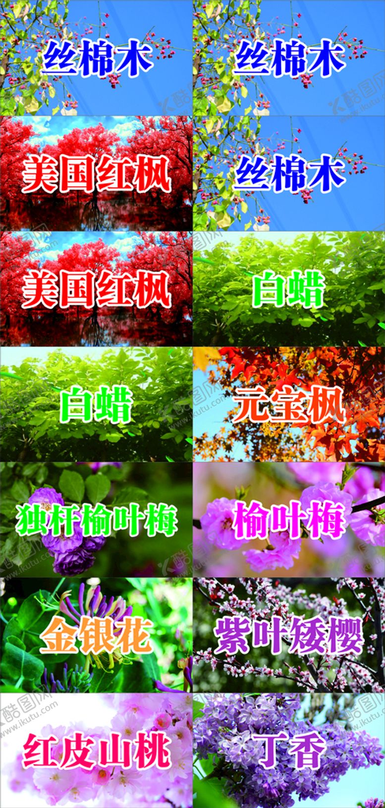 编号：82753912012031069897【酷图网】源文件下载-名称牌
