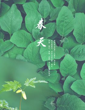 春天