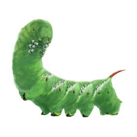 虫子