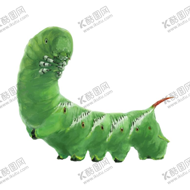 编号：59237105102232241268【酷图网】源文件下载-虫子