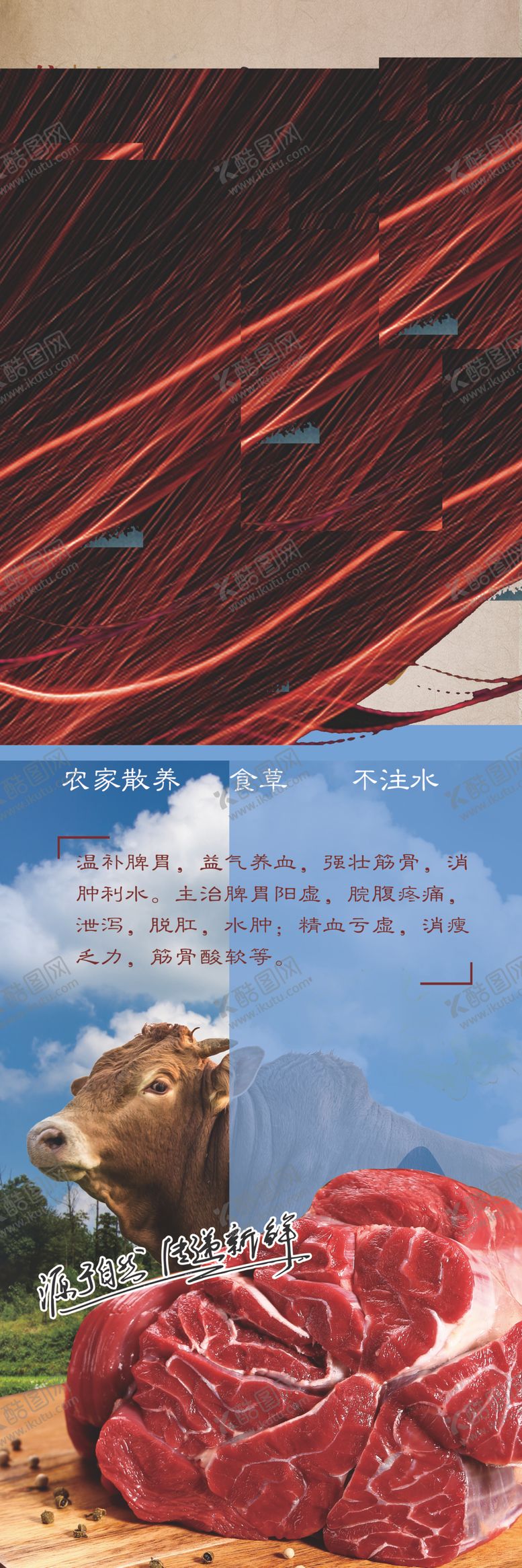 编号：43350709282333527422【酷图网】源文件下载-牛肉