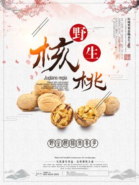 核桃坚果宣传展架