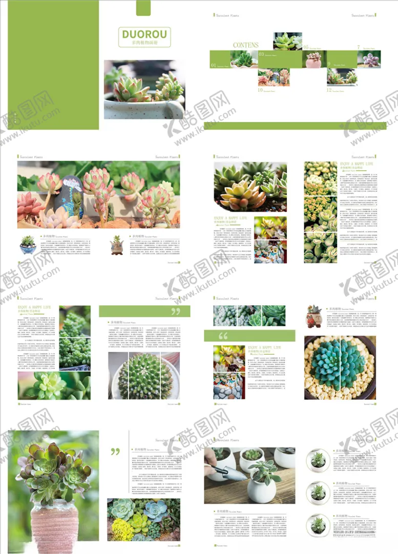编号：32791806251850483498【酷图网】源文件下载-植物画册