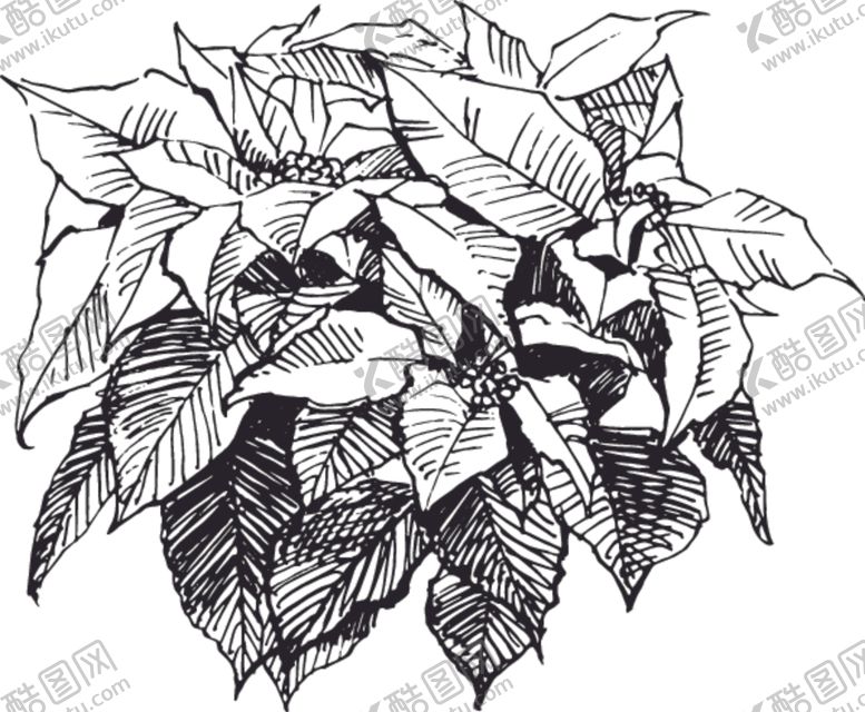编号：85959206242200371388【酷图网】源文件下载-素描鲜花
