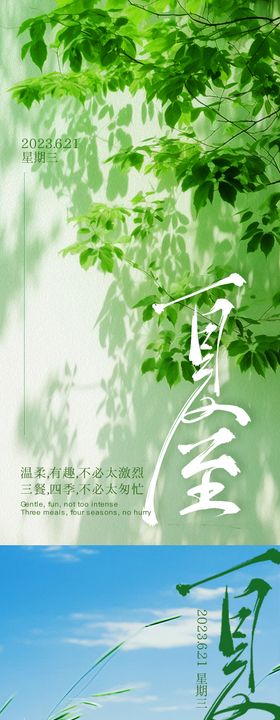 夏至节气海报白云日清新