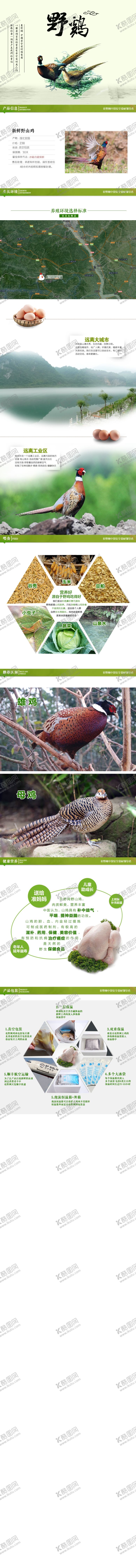编号：19100005080647219617【酷图网】源文件下载-纯正野鸡肉蛋详情页