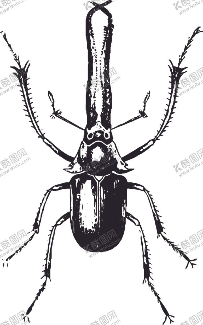 编号：31965309290835185441【酷图网】源文件下载-自然昆虫标本插画