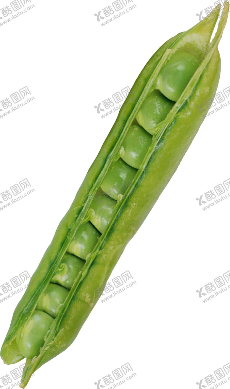 编号：81469510101554165200【酷图网】源文件下载-豌豆