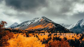 雪中林海风景