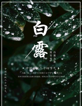 白露