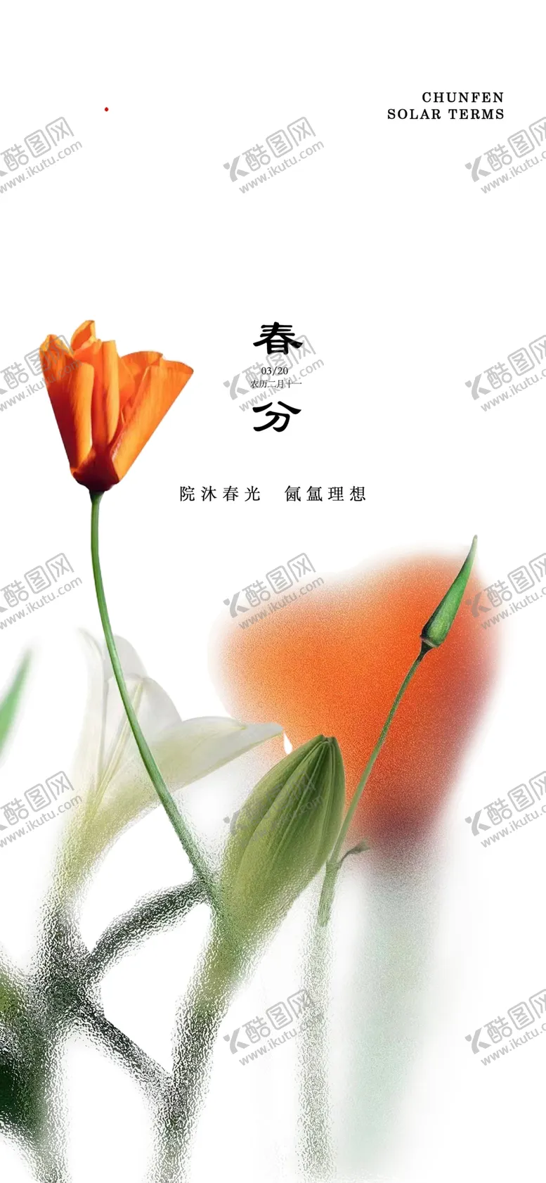 编号：12622612221307395561【酷图网】源文件下载-春季春分节气海报