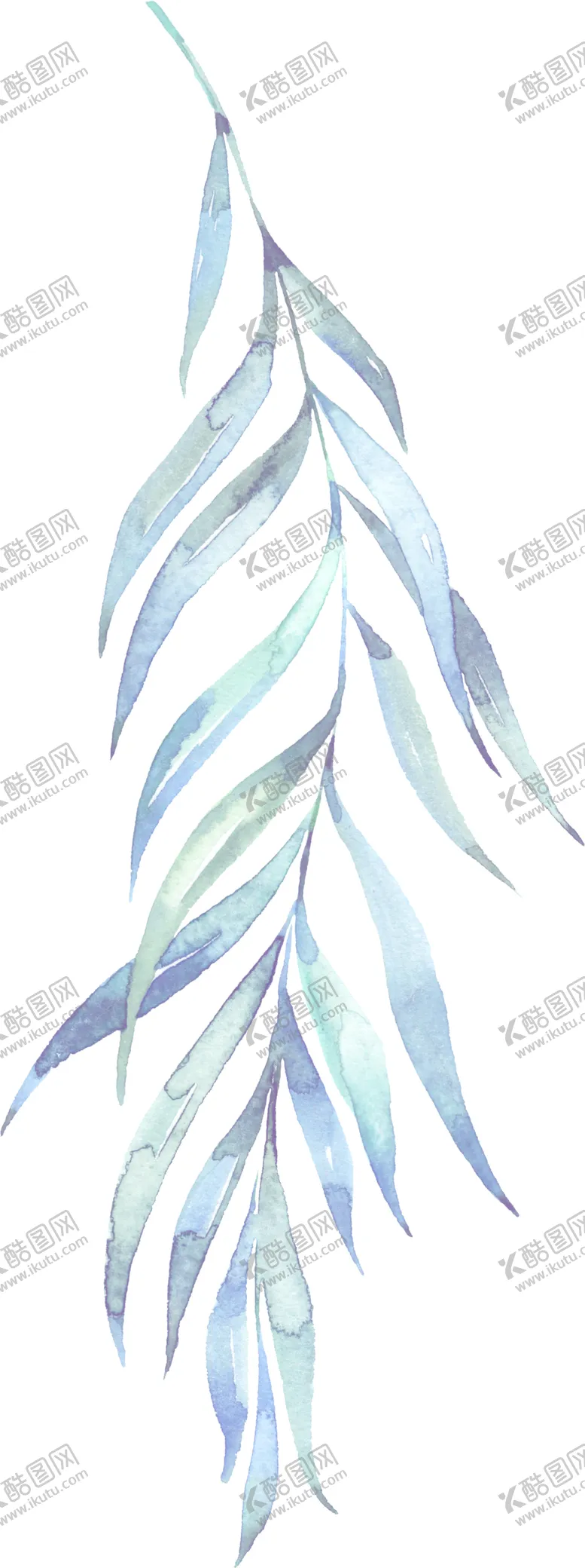 编号：80982605031112533606【酷图网】源文件下载-水彩手绘花卉花朵植物