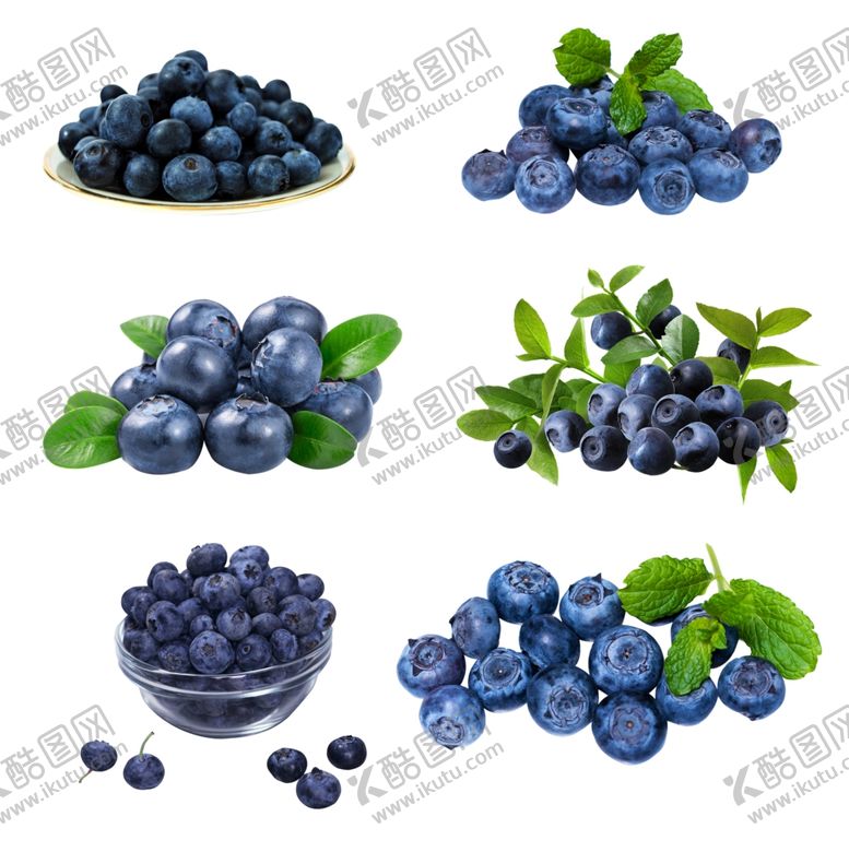 编号：54403407080808492536【酷图网】源文件下载-蓝莓