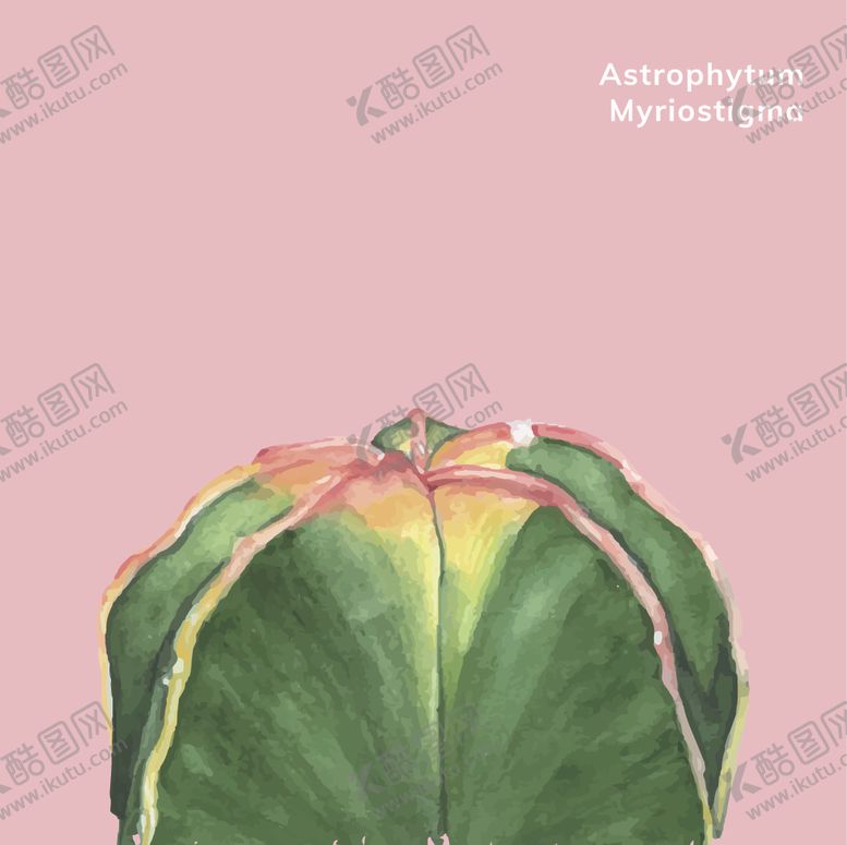 编号：66282807072340082132【酷图网】源文件下载-仙人掌