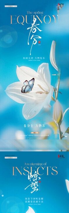 地产惊蛰春分花卉风景海报