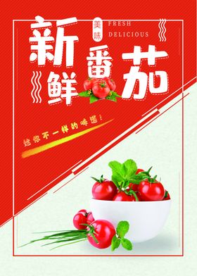 新鲜番茄开启美味新选择