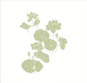 荷花荷叶
