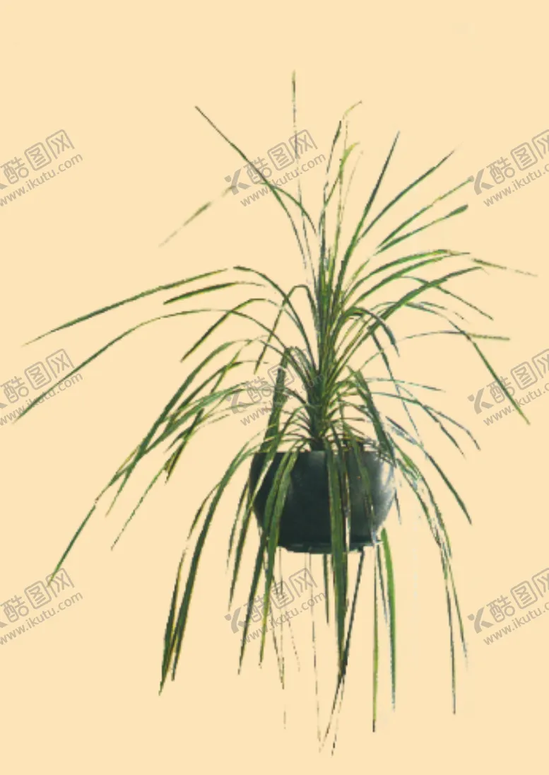 编号：66917609101447329539【酷图网】源文件下载-盆景