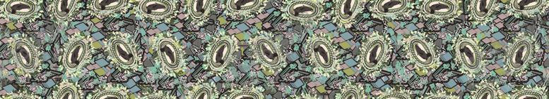 编号：50138709280042293604【酷图网】源文件下载-黑底海豹