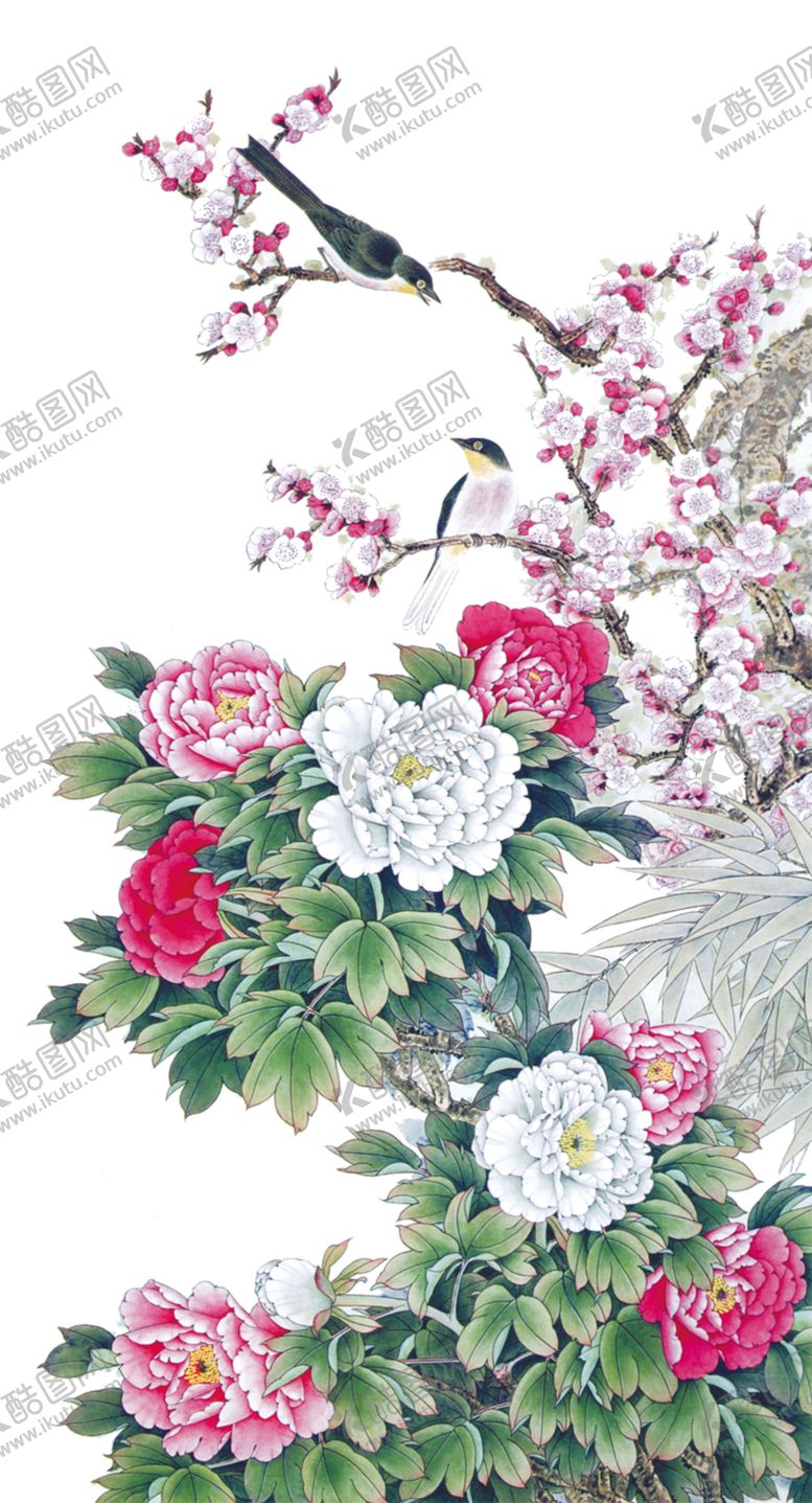 编号：71764206191209408279【酷图网】源文件下载-牡丹花