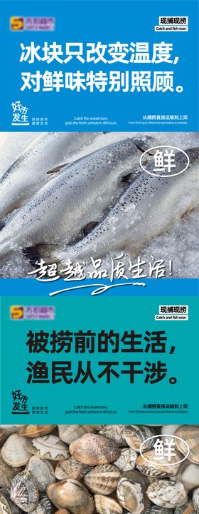 超市水产海报