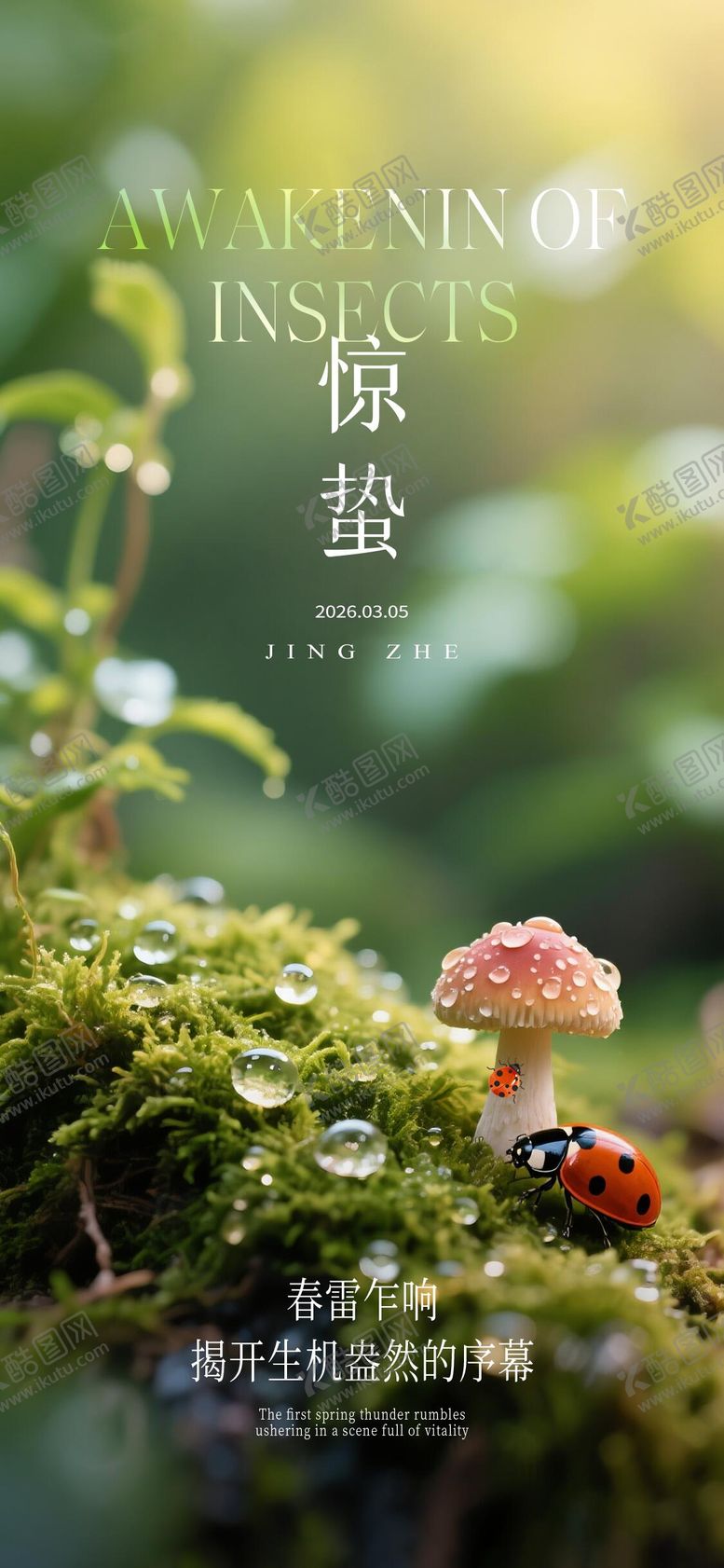 编号：22366802160224507200【酷图网】源文件下载-惊蛰节气海报