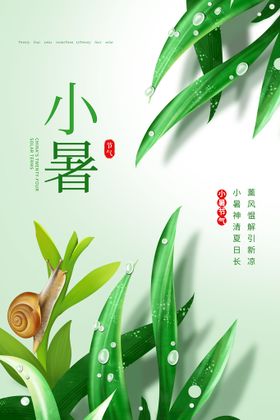 小暑创意