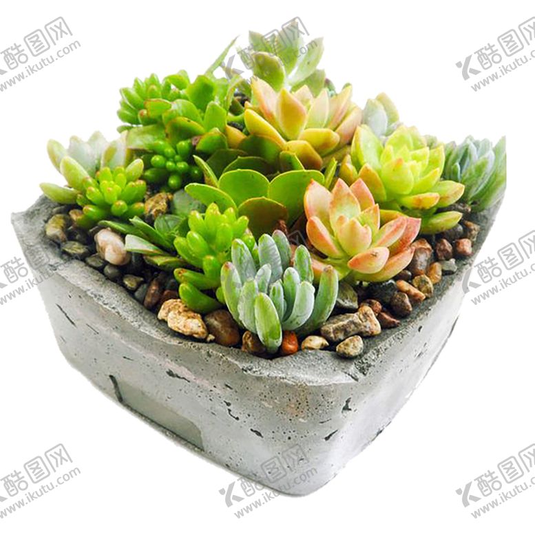 编号：20539310310032131480【酷图网】源文件下载-绿色植物