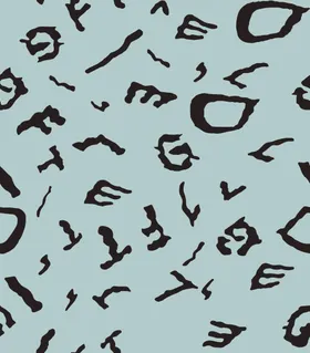 字母