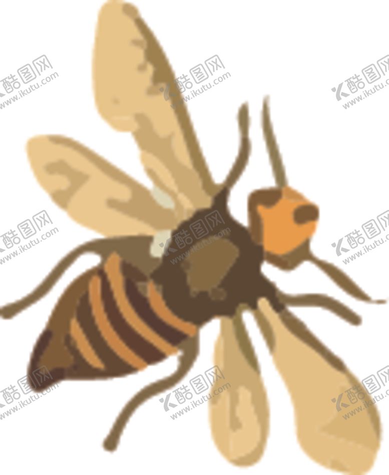 编号：93840910251242374655【酷图网】源文件下载-蜜蜂昆虫插画